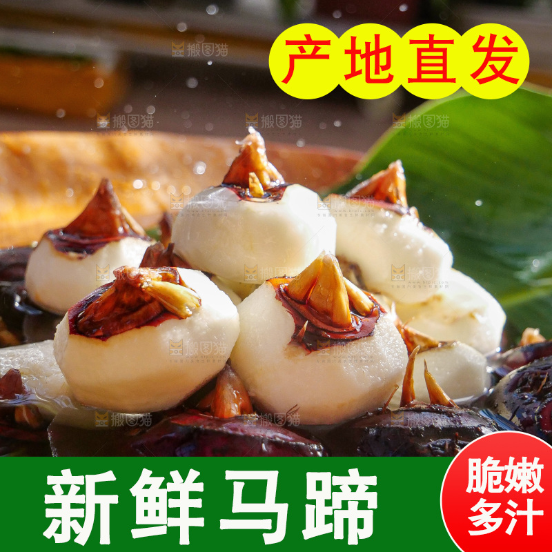 深底上的马蹄