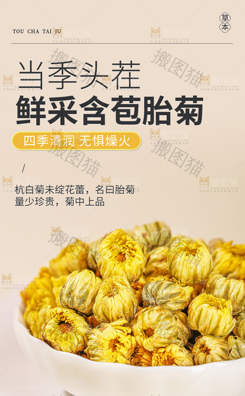 胎菊详情页
