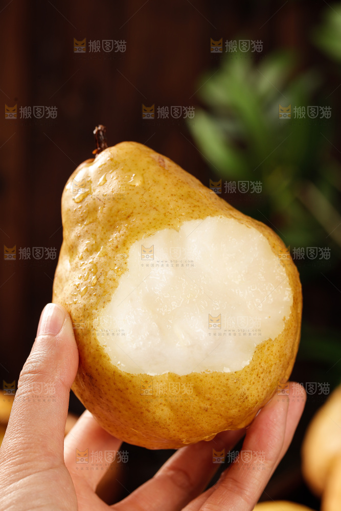 深底上的丑梨