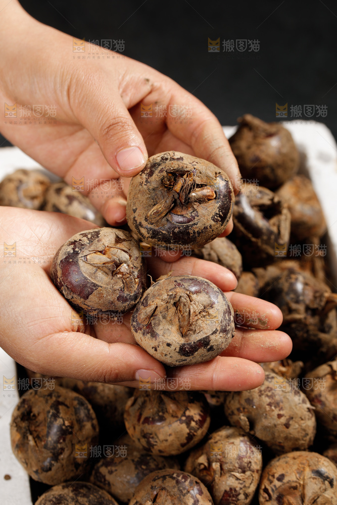 深底上的马蹄