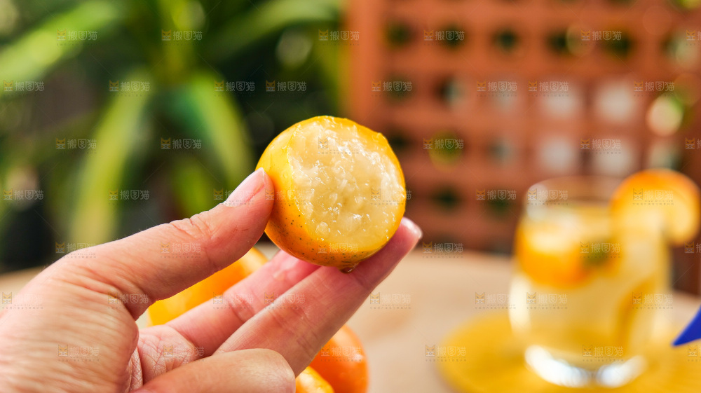浅底上的小金桔