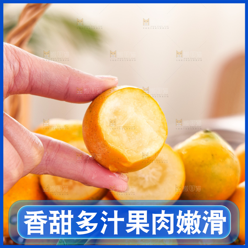 浅底上的小金桔