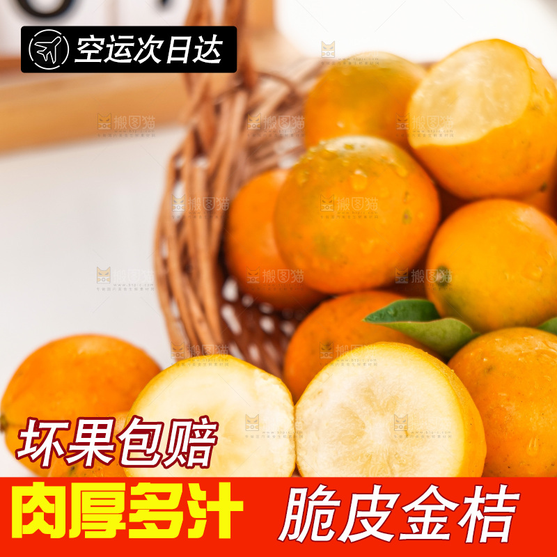 浅底上的小金桔