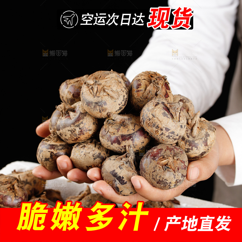 深底上的马蹄