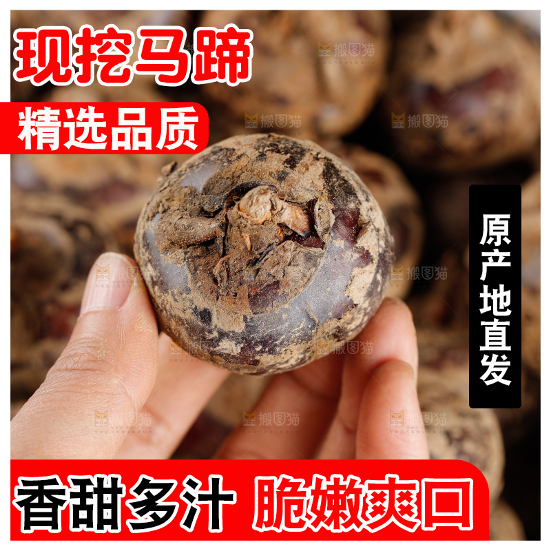 深底上的马蹄