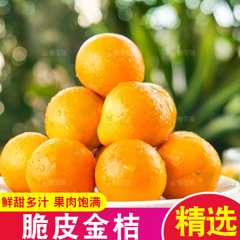 浅底上的小金桔