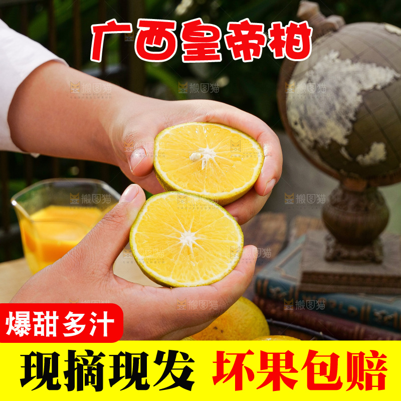 手里拿着皇帝柑