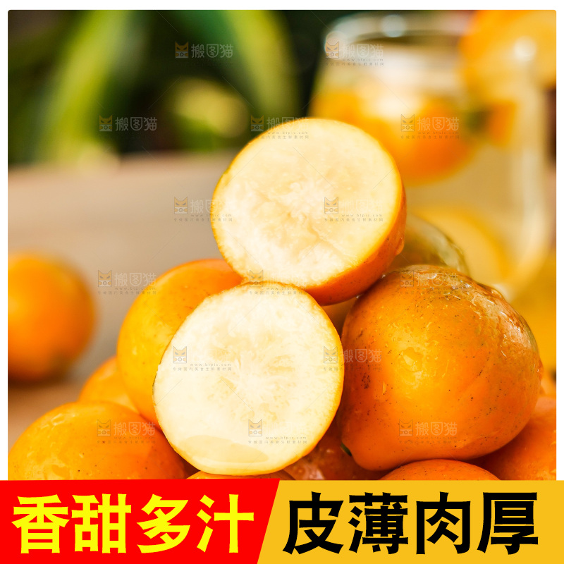 浅底上的小金桔