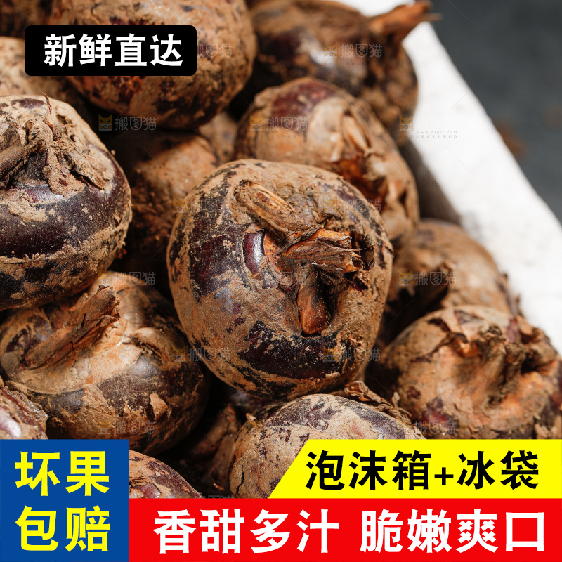 深底上的马蹄