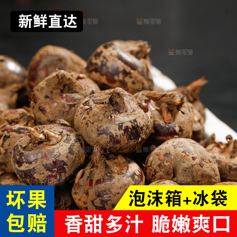 深底上的马蹄
