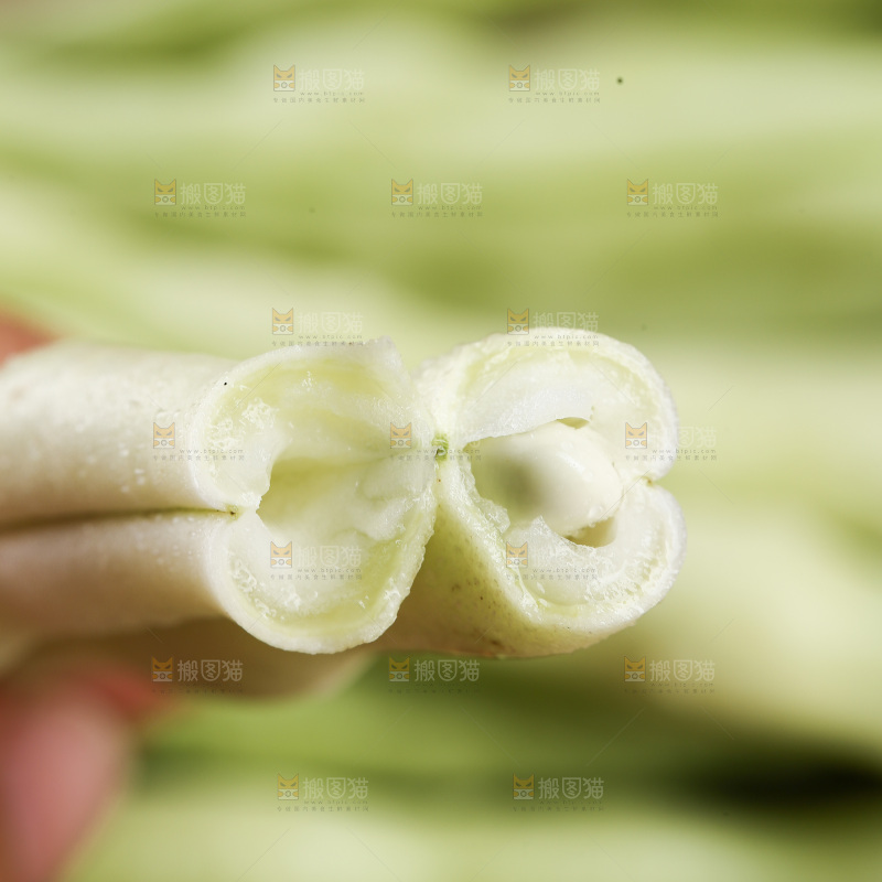 深底上的白芸豆角