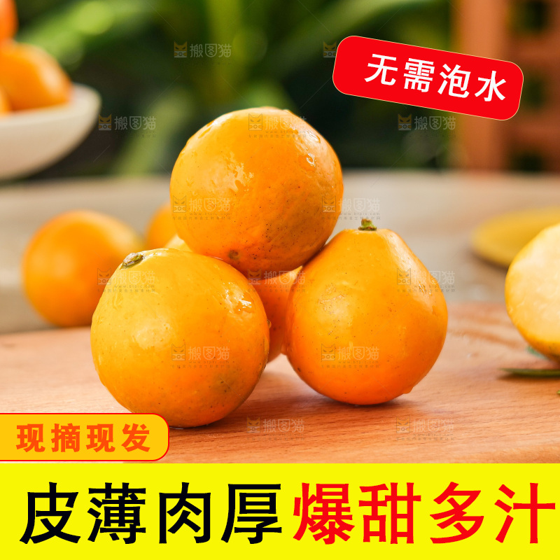 浅底上的小金桔