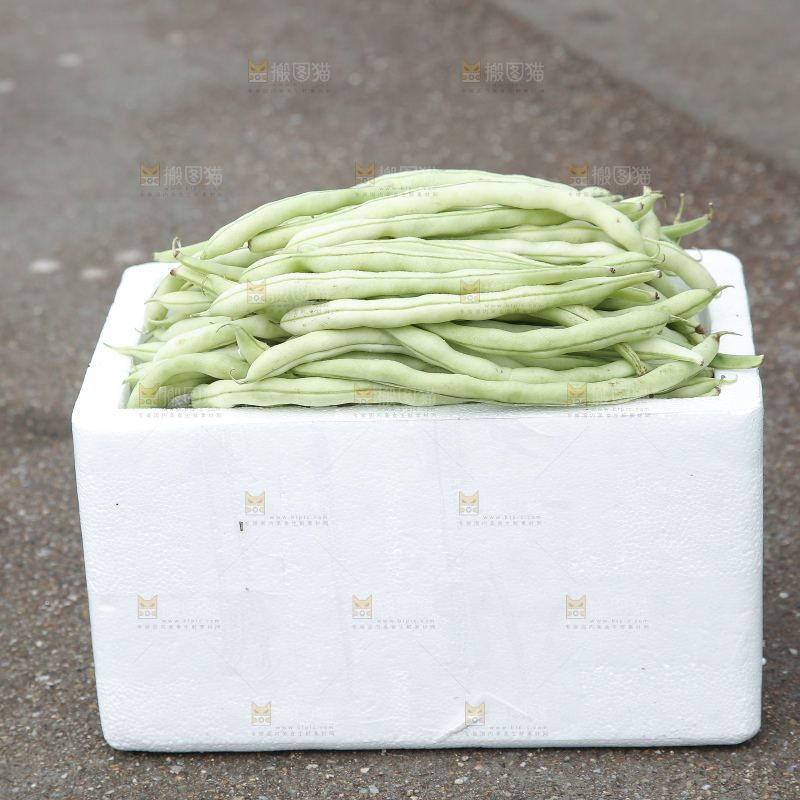 新鲜采摘的白芸豆角
