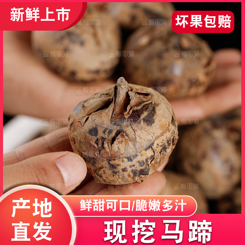 深底上的马蹄