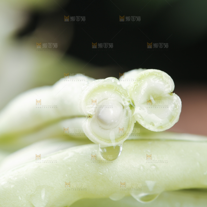 木底上的白芸豆角