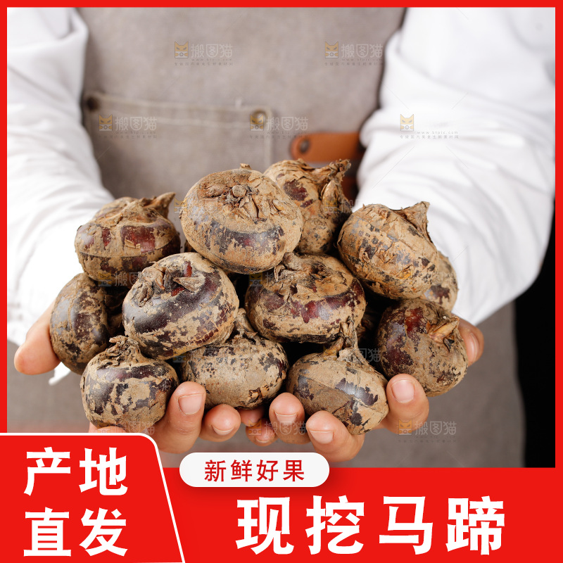 深底上的马蹄