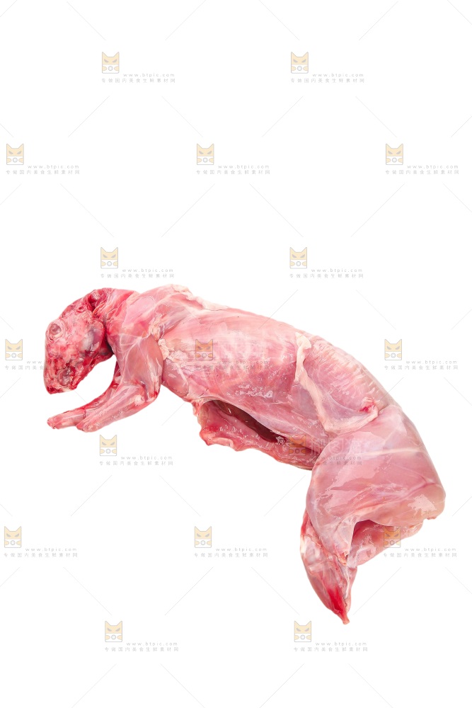 白底上的新鲜兔肉