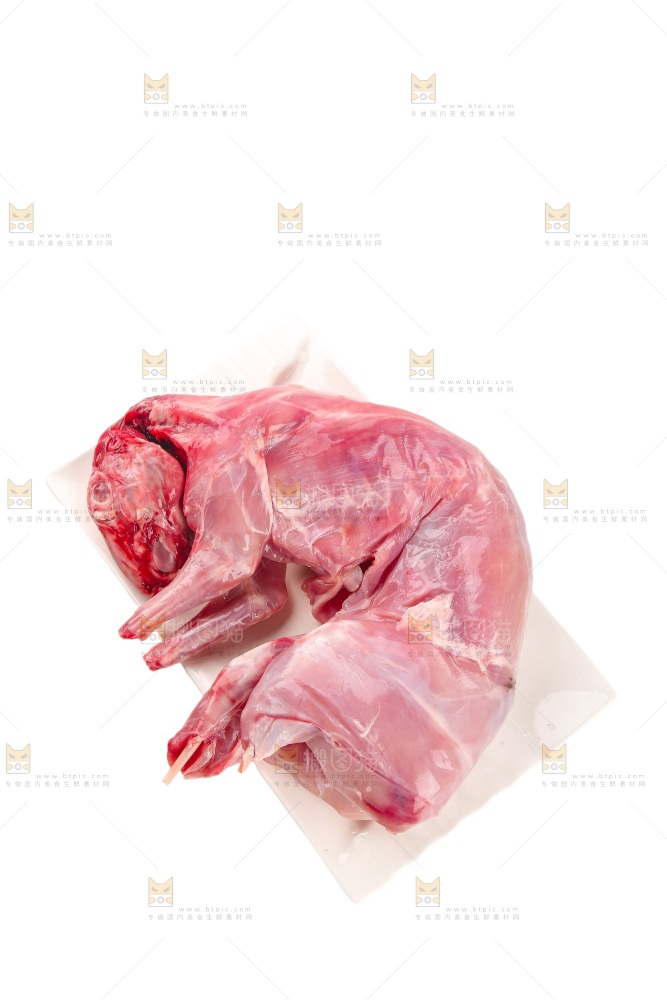 白底上的新鲜兔肉