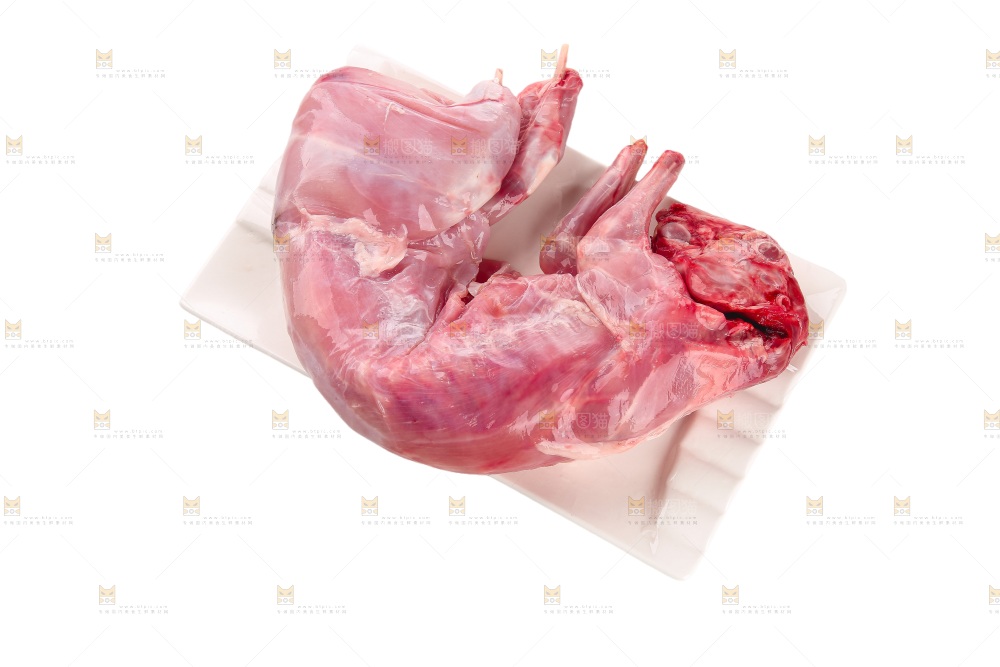 白底上的新鲜兔肉