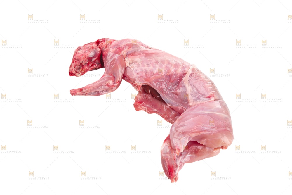 白底上的新鲜兔肉