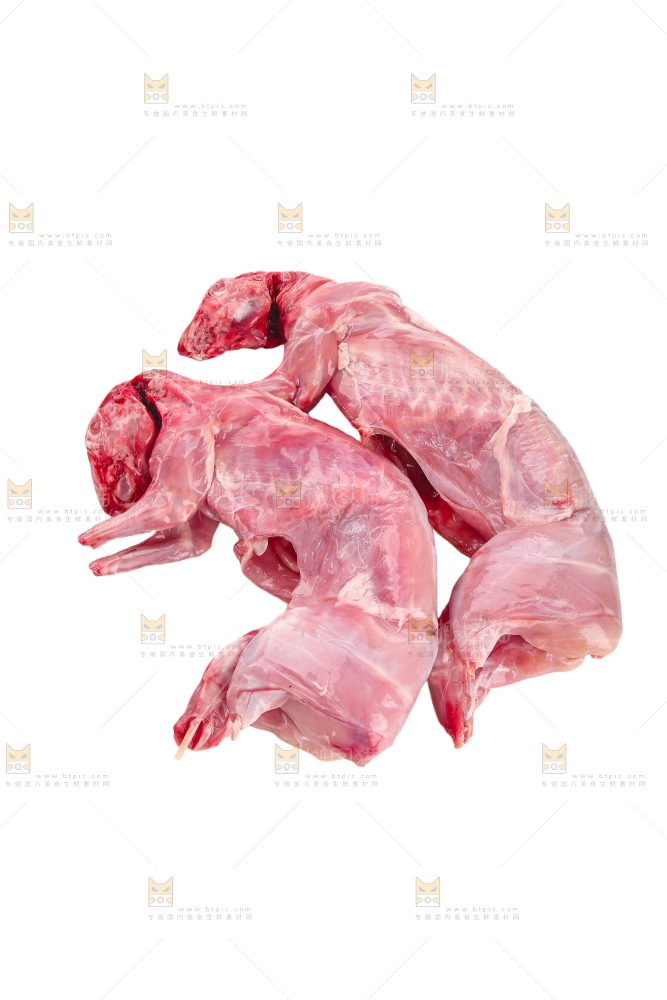 白底上的新鲜兔肉