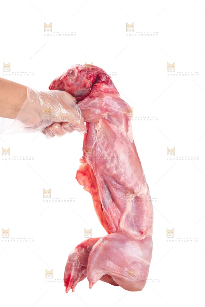 白底上的新鲜兔肉