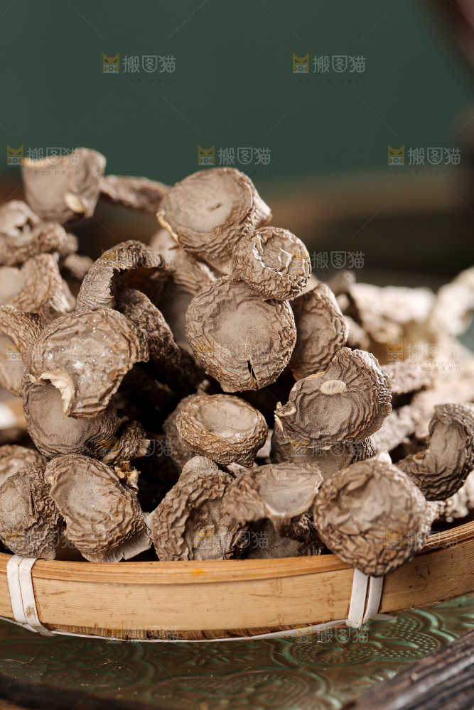 深底上的鹿茸菌
