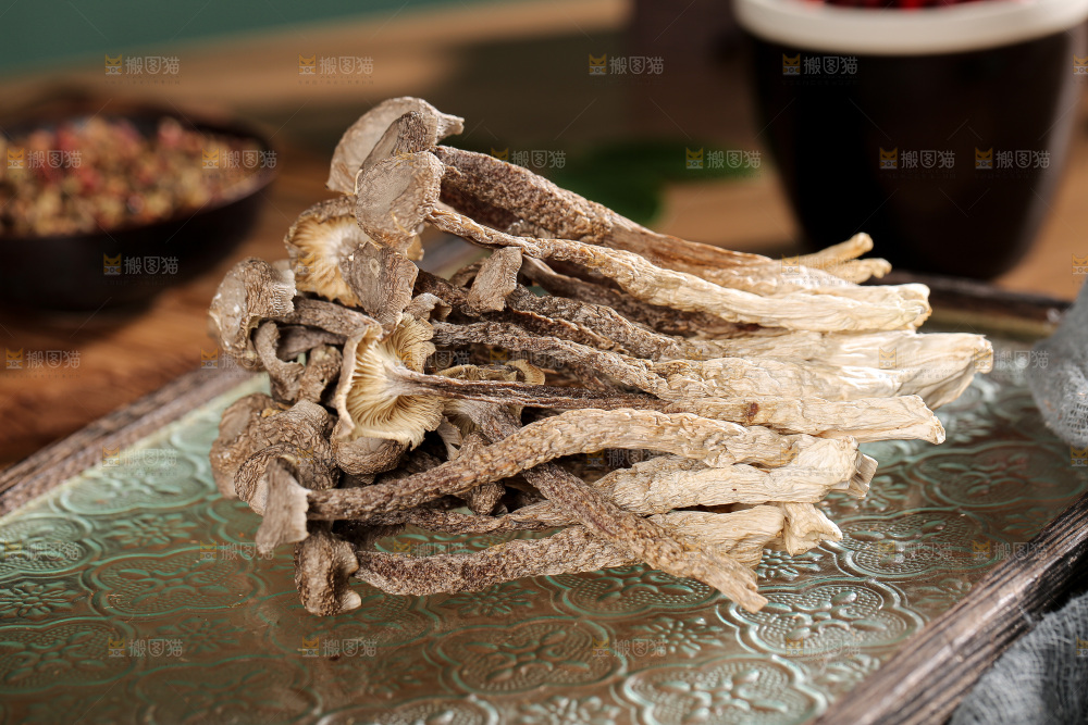 深底上的鹿茸菌