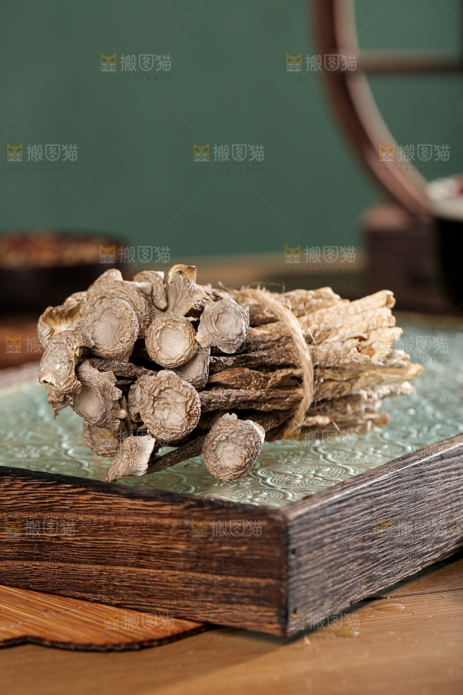 深底上的鹿茸菌