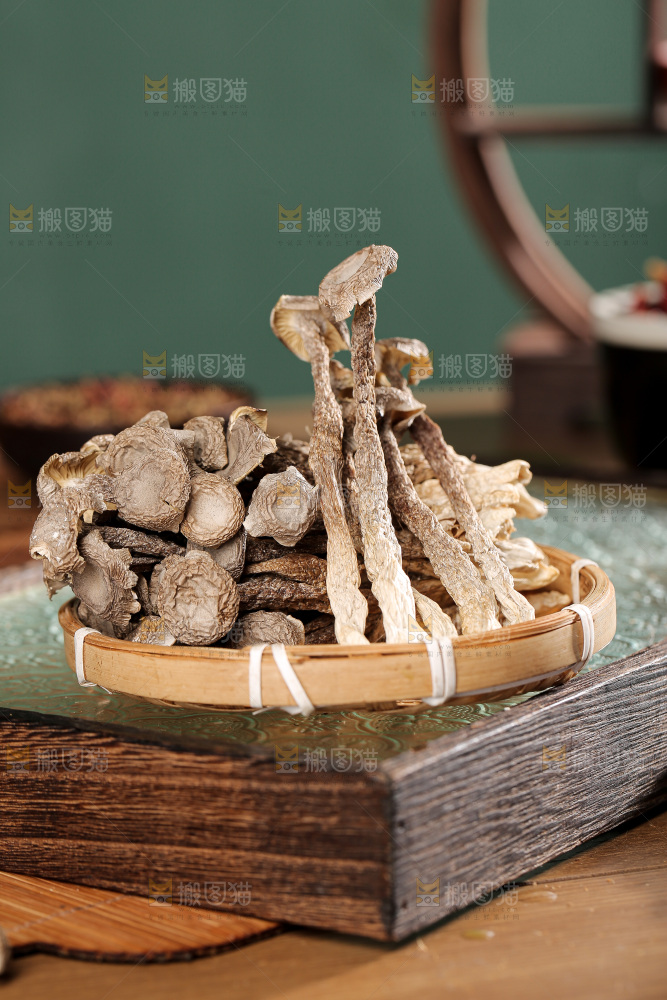 深底上的鹿茸菌