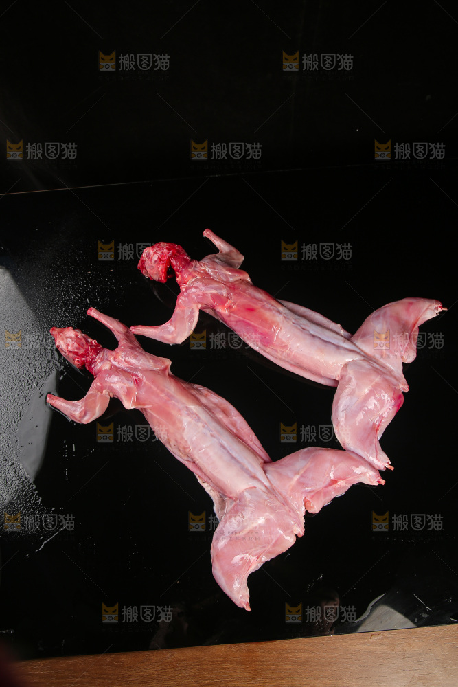 深底上的新鲜兔子