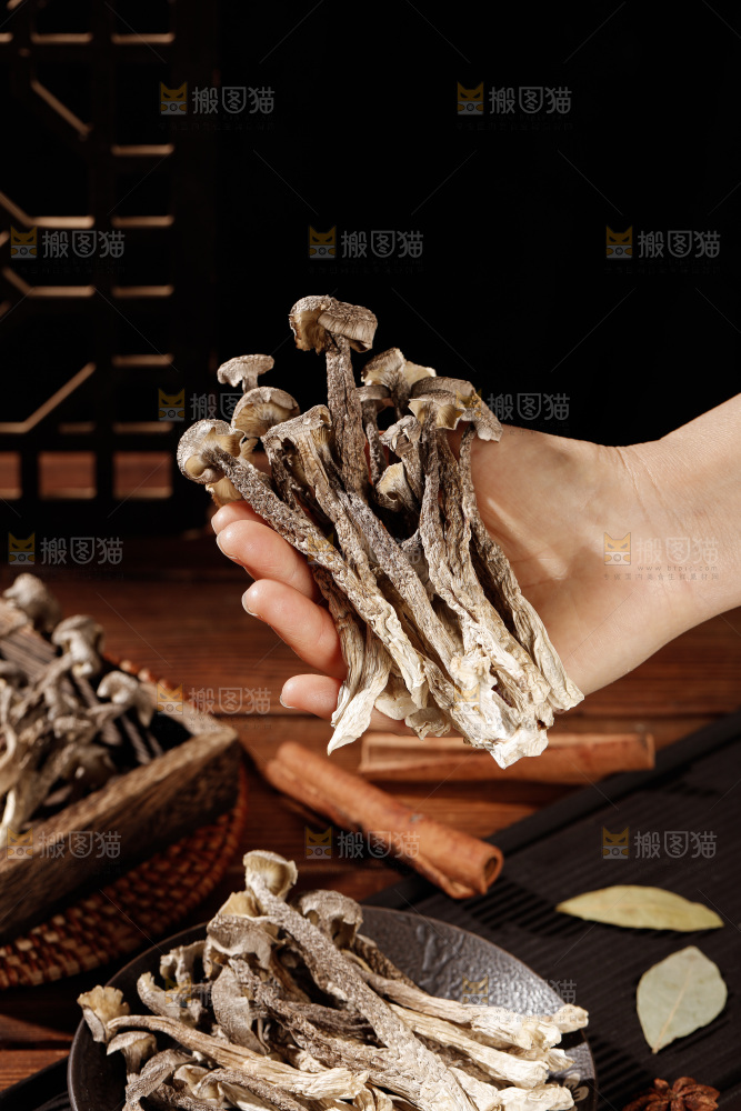 深色底上鹿茸菇