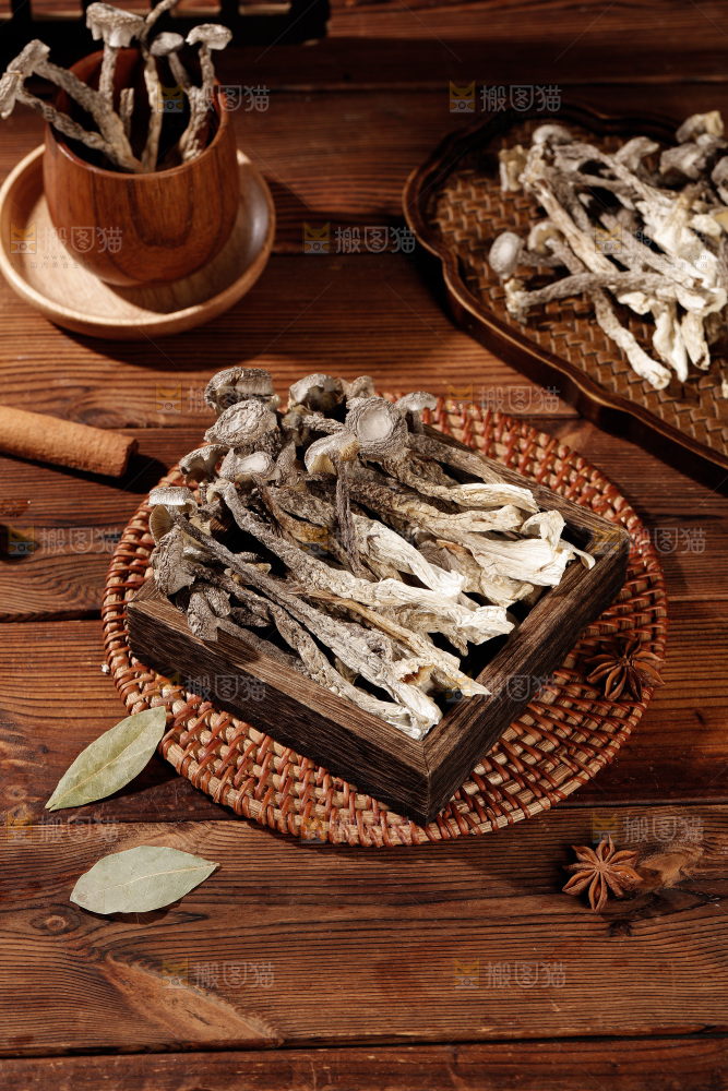 深色底上鹿茸菇