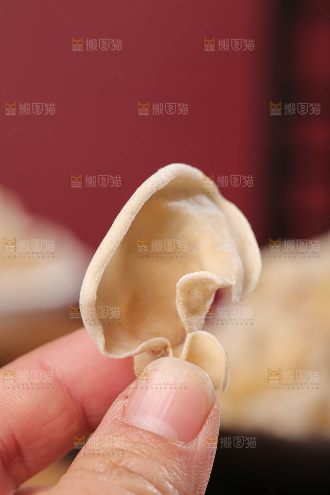 深底上白玉木耳