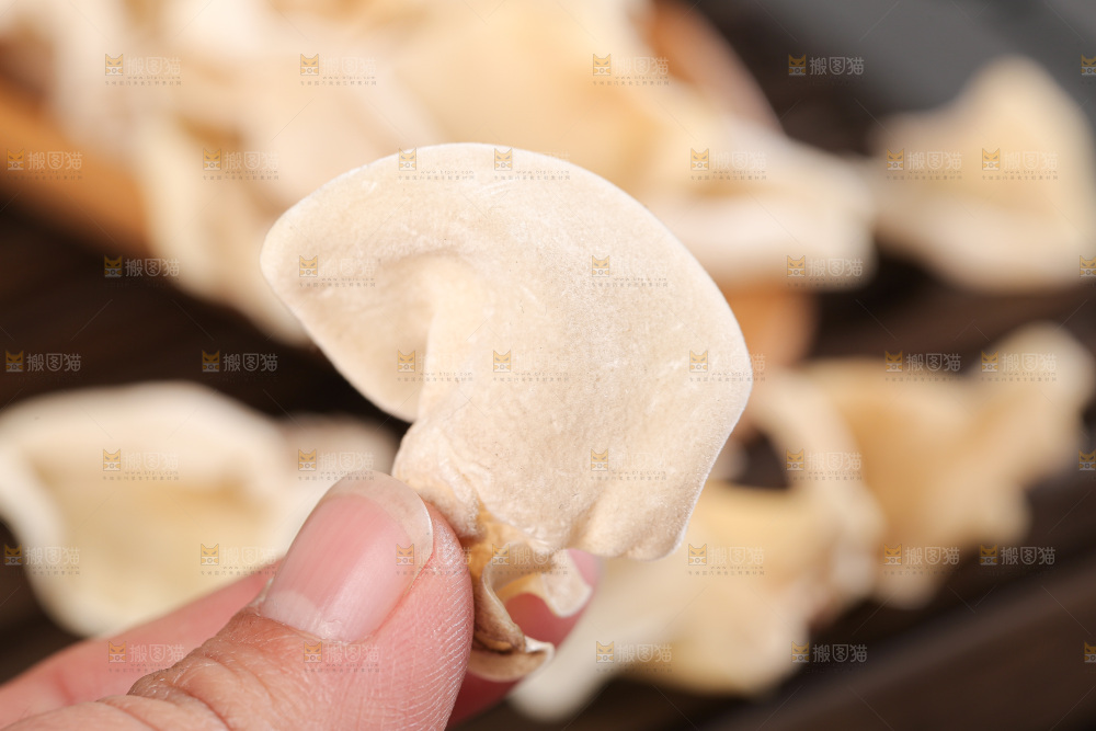 深底上白玉木耳