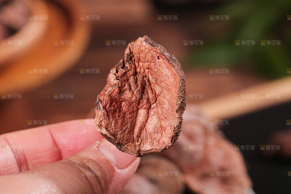 深底上的红乳牛肝菌