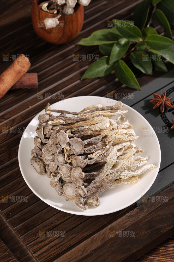 深底上鹿茸菇