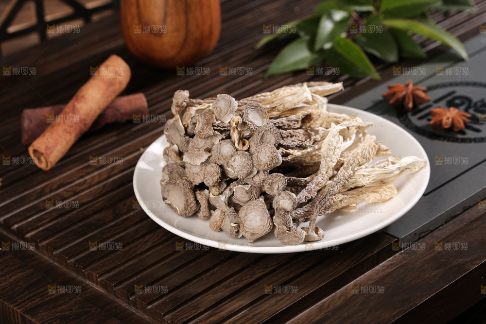 深底上鹿茸菇