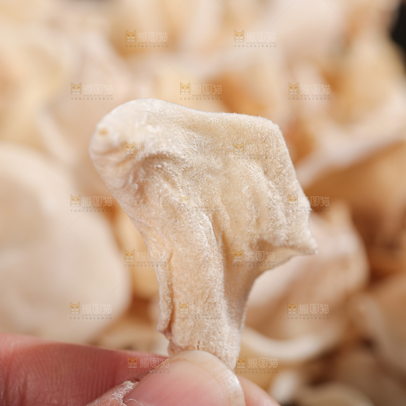 深底上白玉木耳
