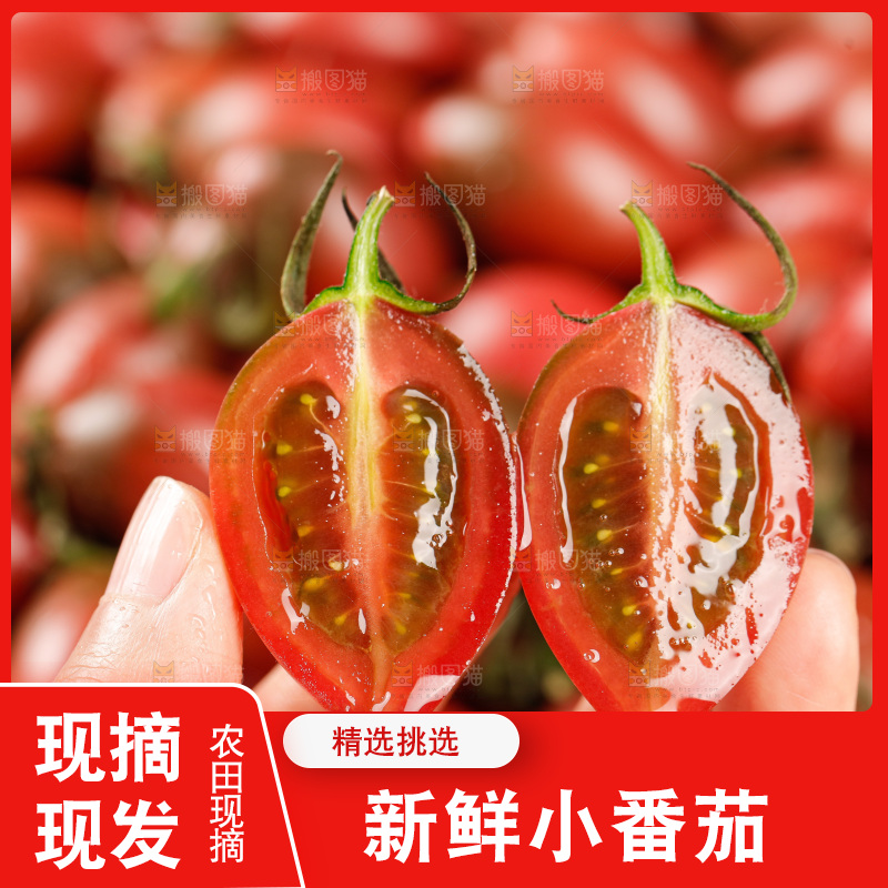 手里拿着混色小番茄