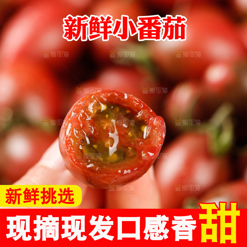 手里拿着混色小番茄