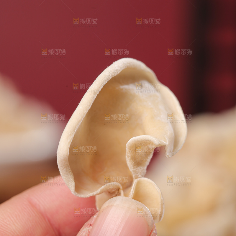 深底上白玉木耳