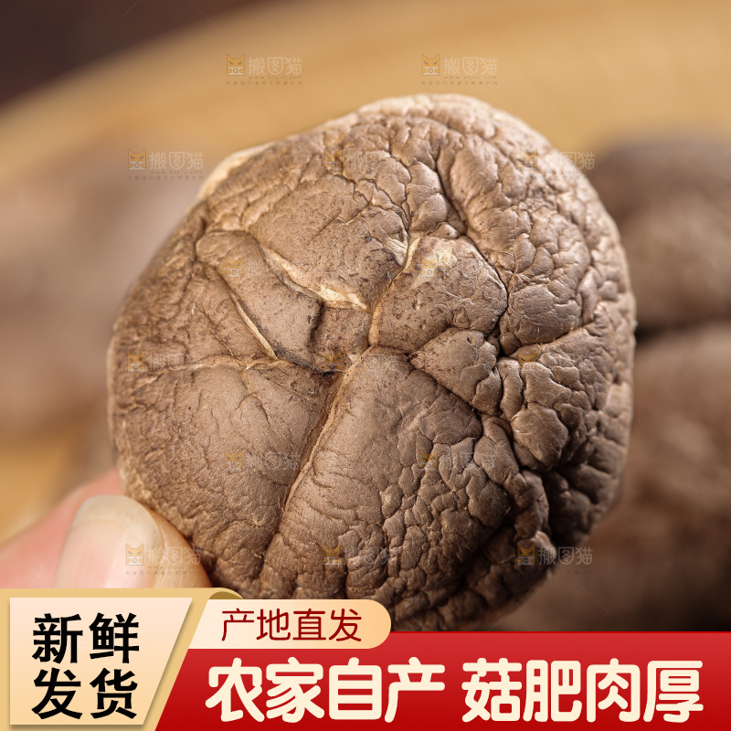 深底上的香菇