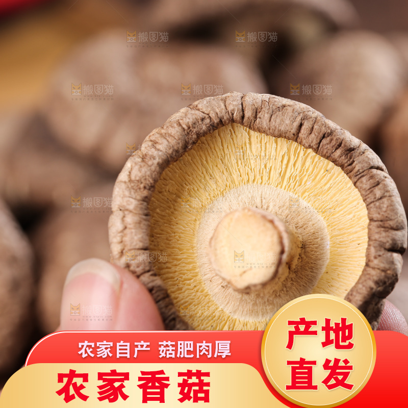 深底上的香菇