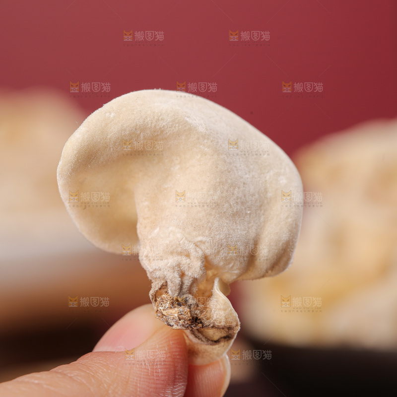 深底上白玉木耳