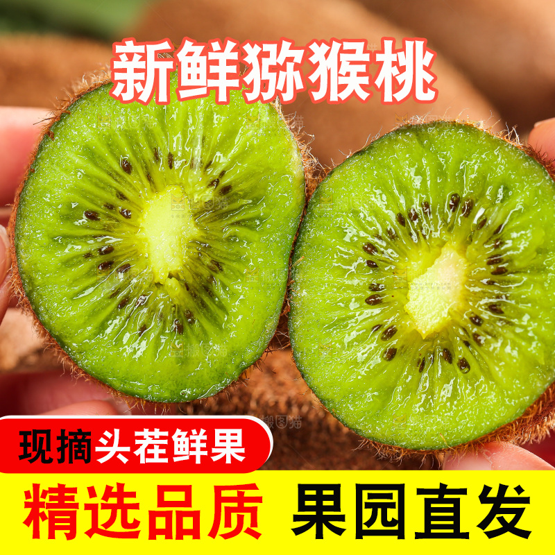 深底上的猕猴桃