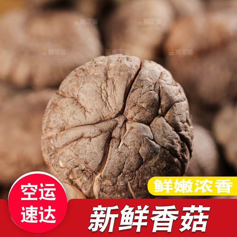 深底上的香菇