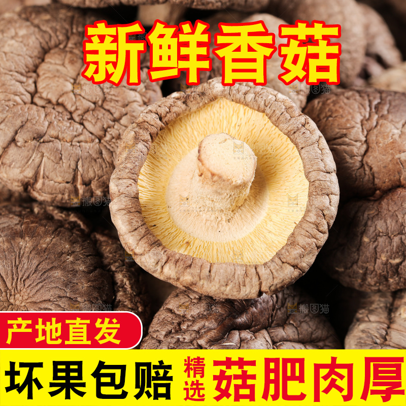 深底上的香菇