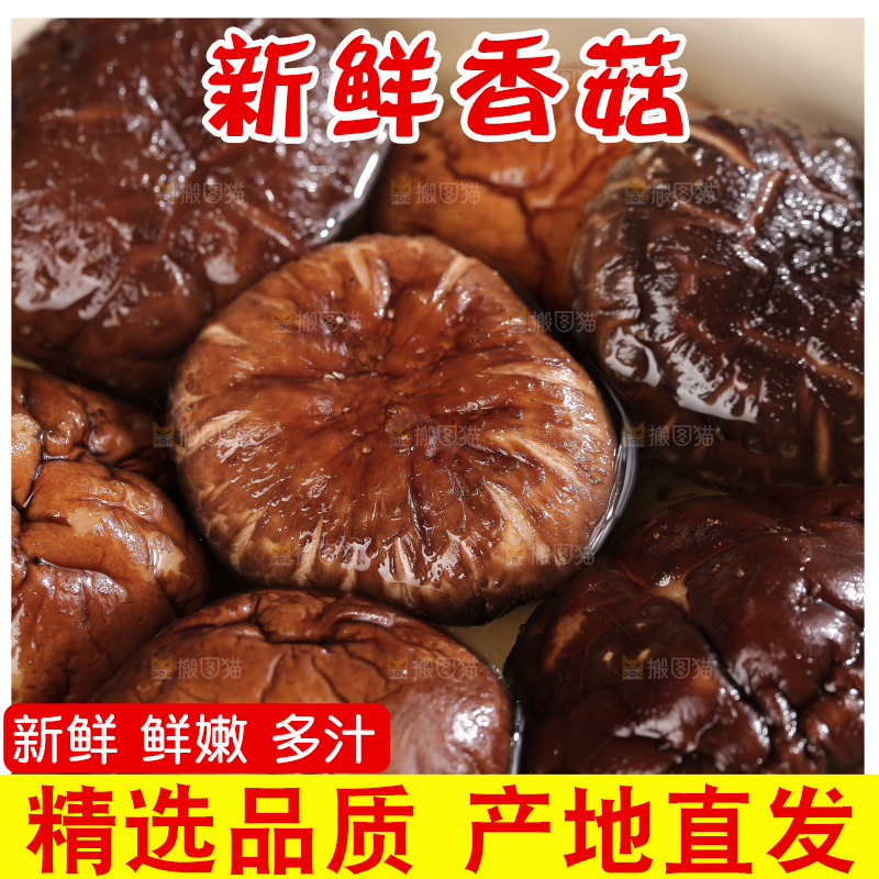 深底上的香菇