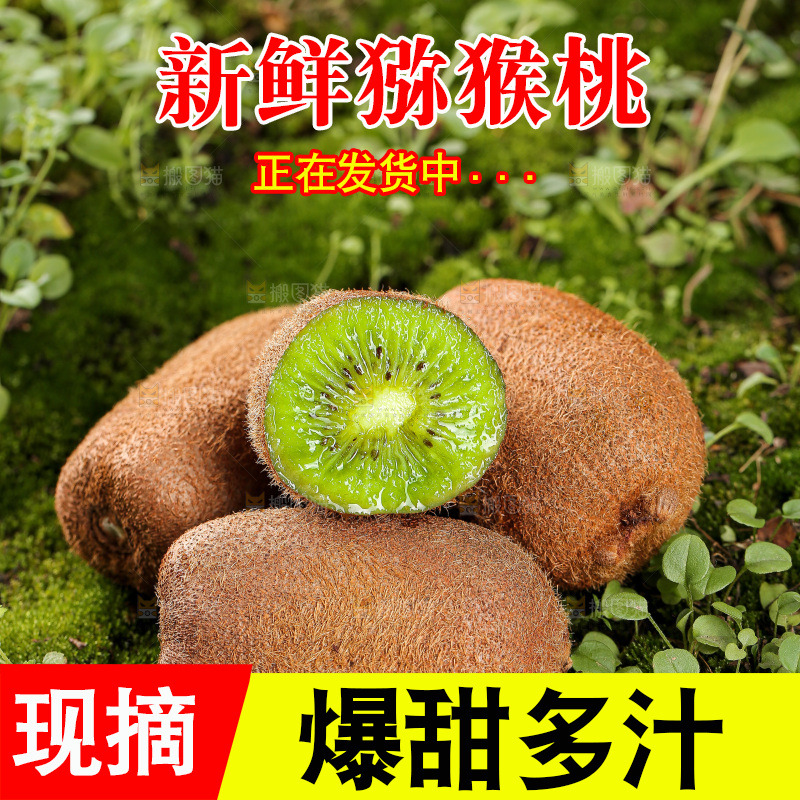深底上的猕猴桃